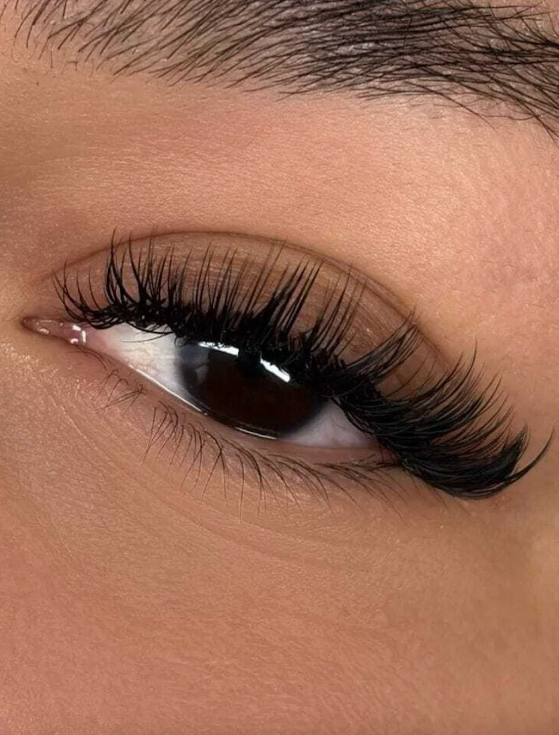 Brows